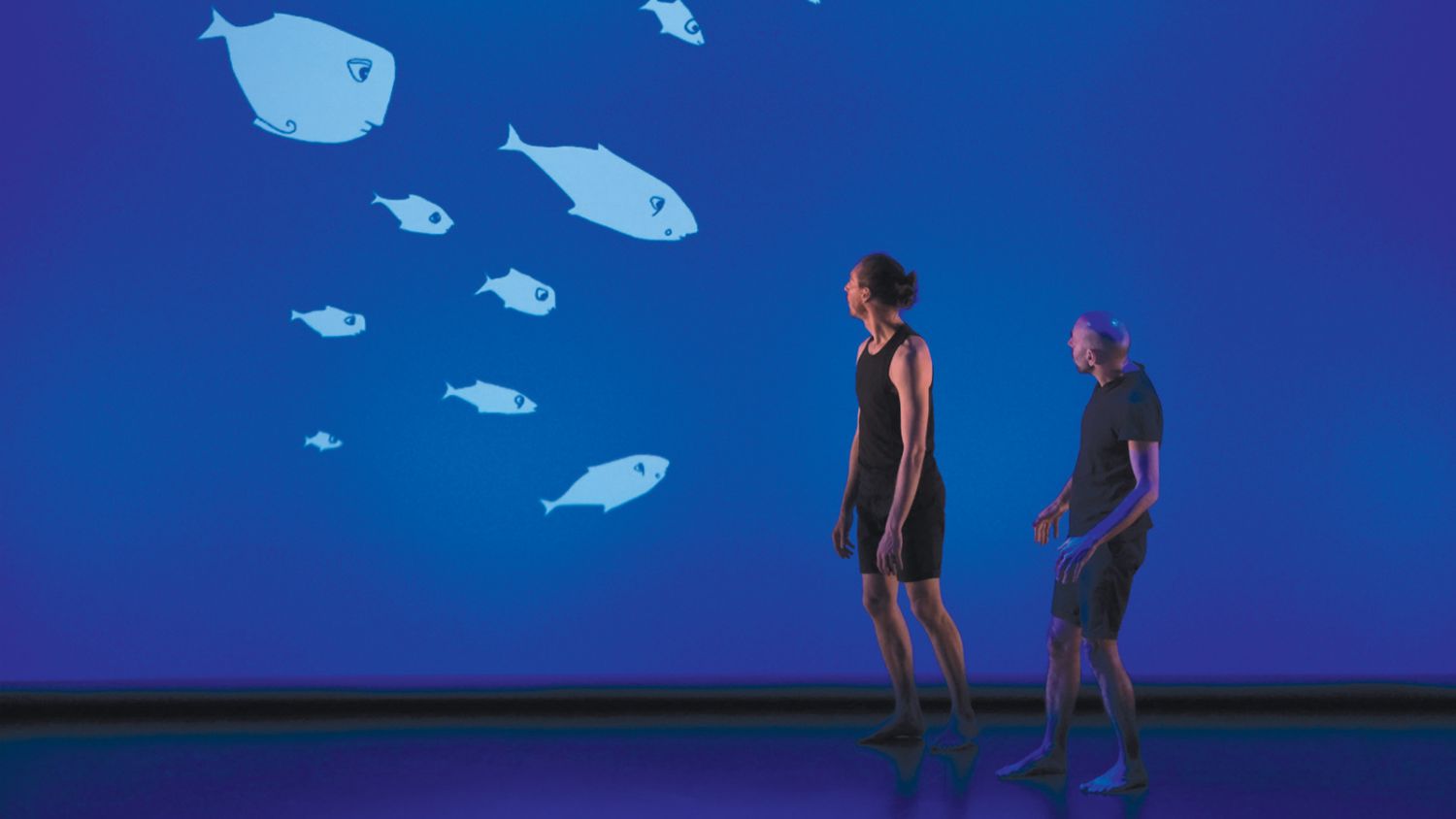 header-les-poissons.jpg