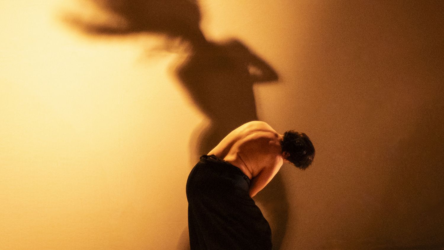 header-silvia-gribaudi-amazzoni.jpg