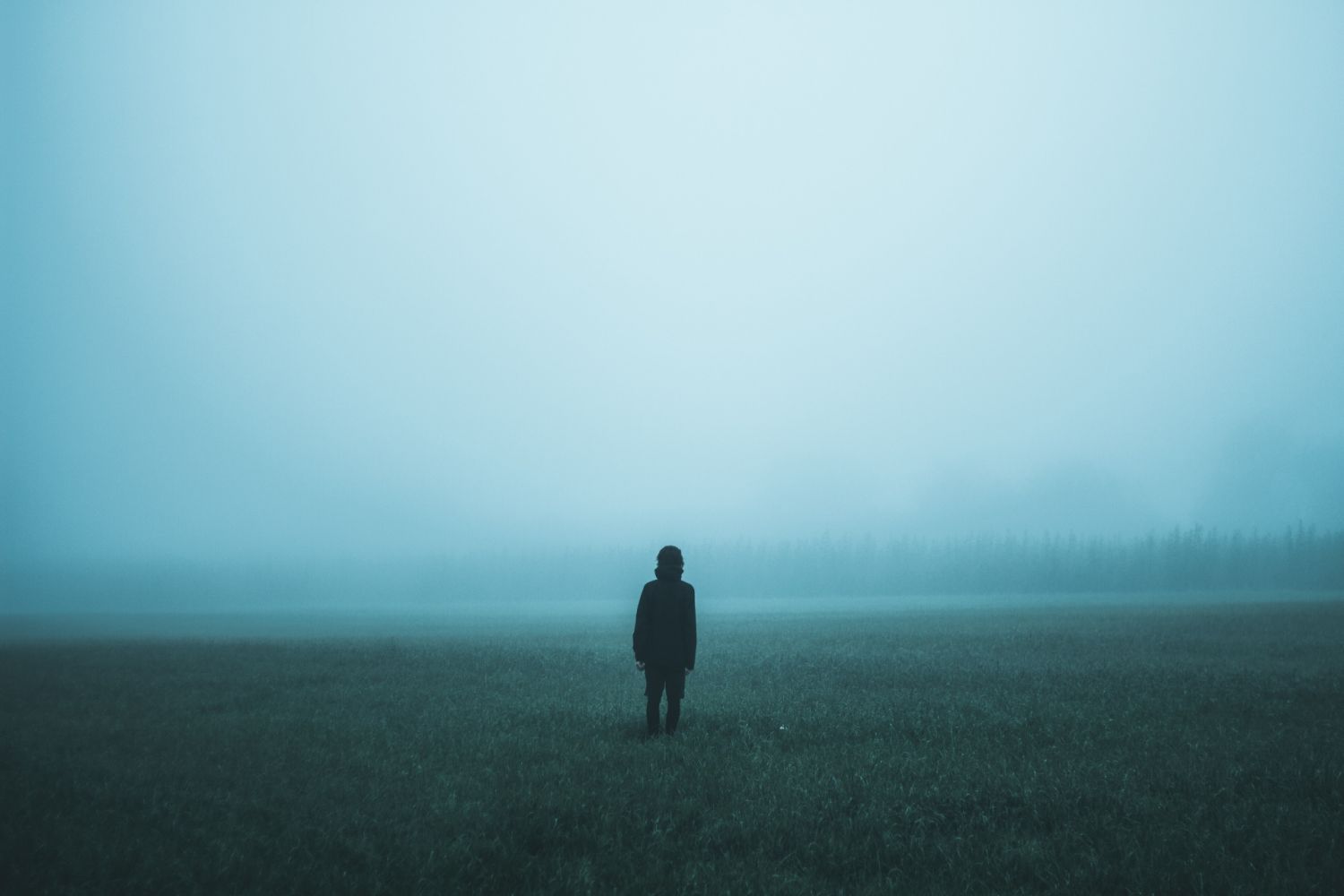 LA VIE INVISIBLE_CR_ jakub-kriz - unsplash.jpg