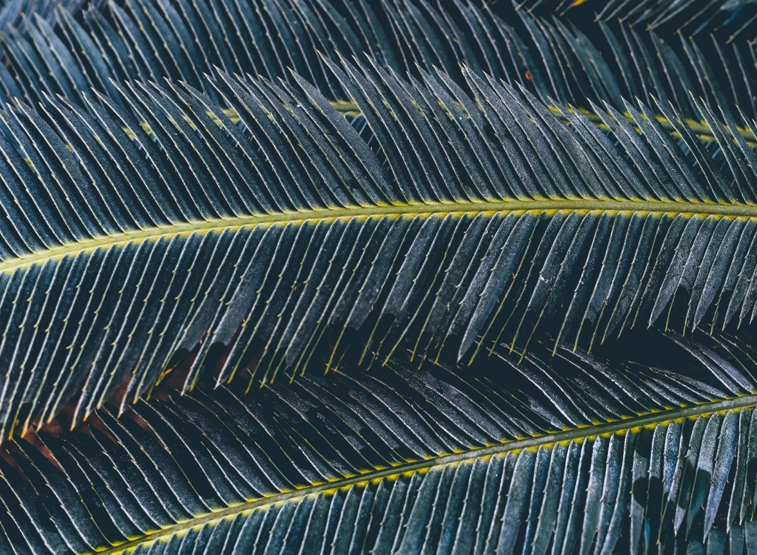 rentrée solidaire.jpg