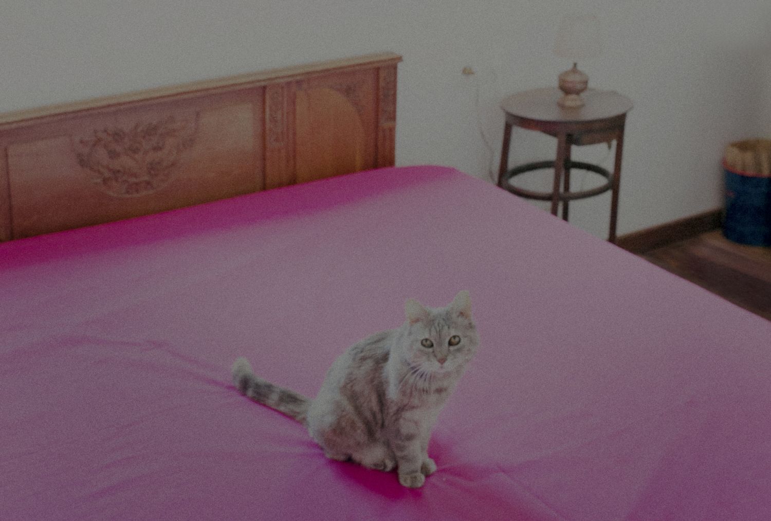 JE NE SUIS PLUS INQUIET_horizontal_©_BOGDAN SMITH.jpg