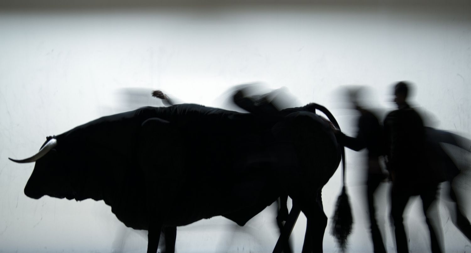 NEW_WORK_2020_Dimitris_Papaioannou_CREATION_photo_©Julian_Mommert_20201104_JCM_8556.jpg