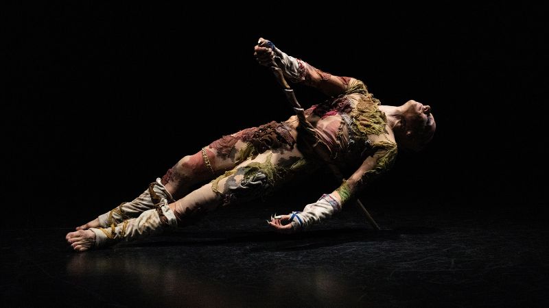 NINA LAISNÉ, FRANÇOIS CHAIGNAUD, NADIA LARCHER *Último Helecho • Création*