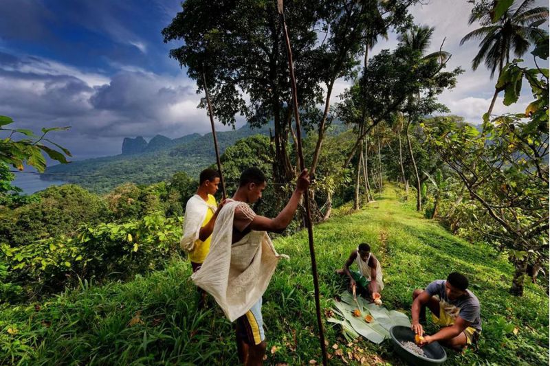 Préserver la biodiversité de São Tomé-et-Príncipe
