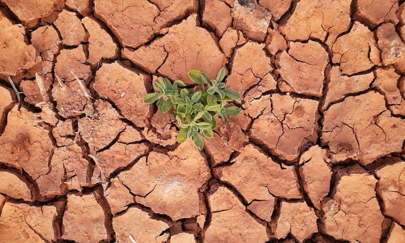 Maîtrise de l'énergie et lutte contre le réchauffement climatique