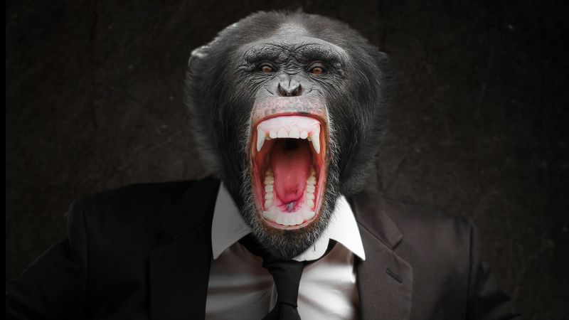 Zoo (saison 2020-2021)