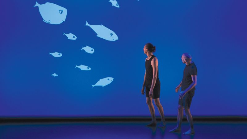 LE POISSON QUI VIVAIT DANS LES ARBRES...