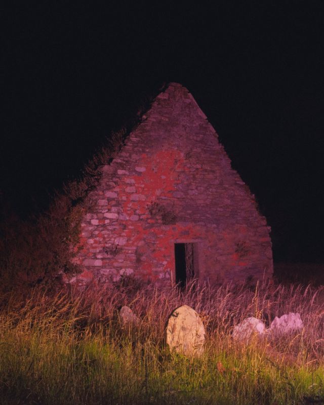 MARIA LAX - STRAY SOD - SETANTA 14.jpg