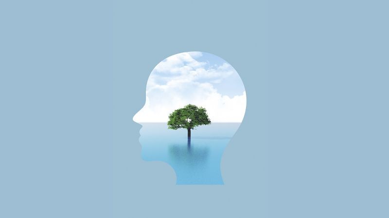 Les débats singuliers