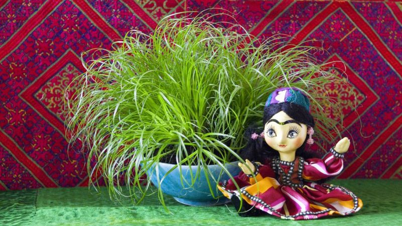 NOROUZ EN DESSIN