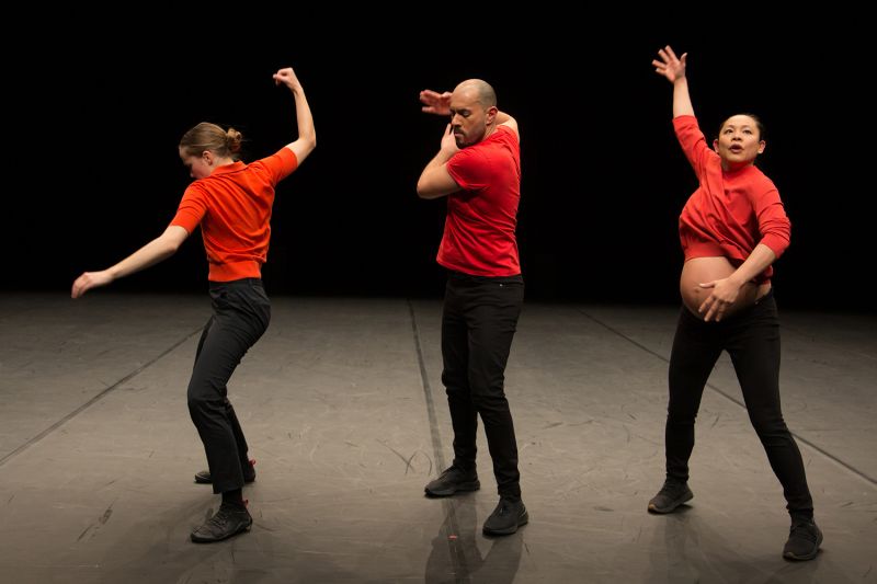 Le Sacre du printemps - Trio 2018