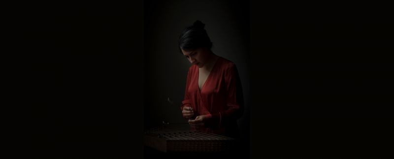 Concert musique du monde avec Farnaz Modarresifar