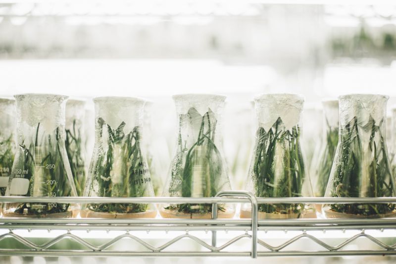 Le temps de la science, de l’environnement, de la santé et de l’éducation
