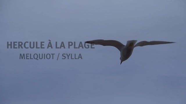 HERCULE À LA PLAGE - teaser - Avignon