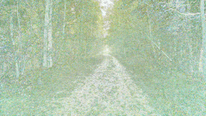 Fragments de Savoirs Vivants