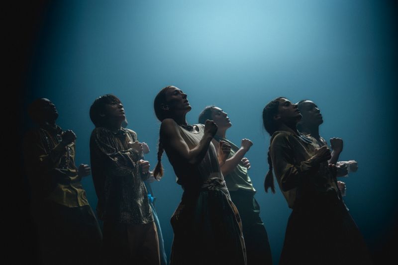 2. IN THE BRAIN (Todd MacDonald).jpg