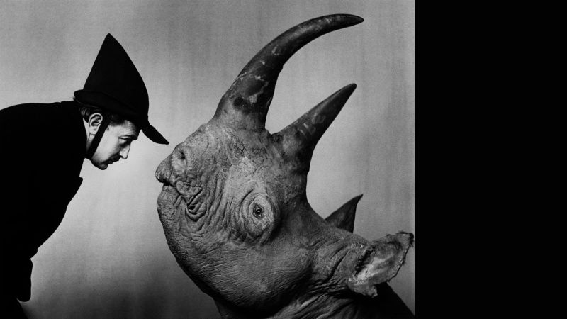 Le lien entre l’homme et l’animal