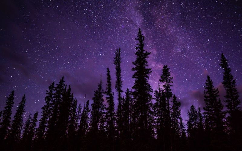 Consultations scientifiques : à la croisée de l’astronomie et de la poésie