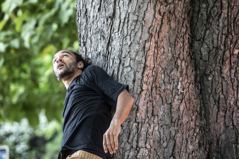 Après-midis sous les arbres