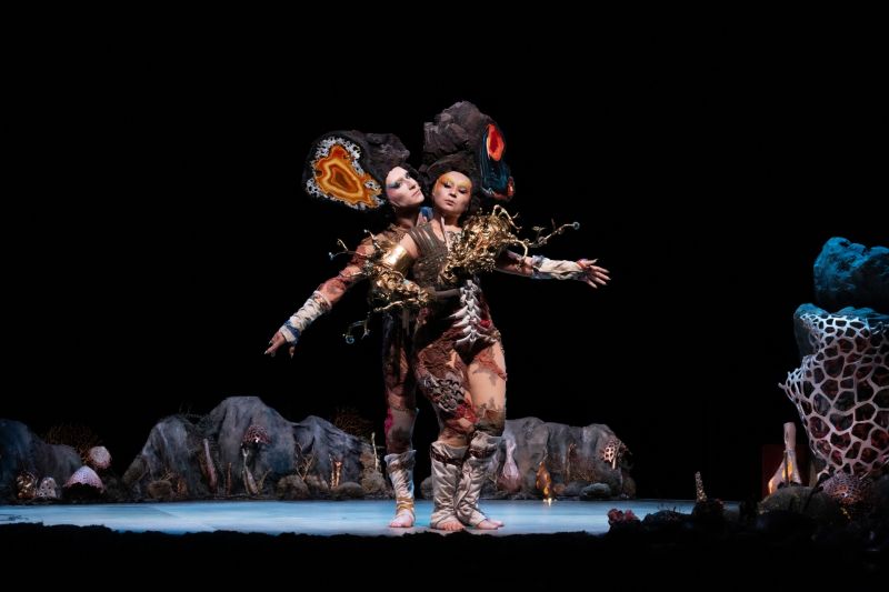 11 Último helecho © Nina Laisné HD.jpg