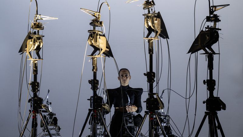 CORVIDAE. QUAND LES ESPÈCES SE REGARDENT