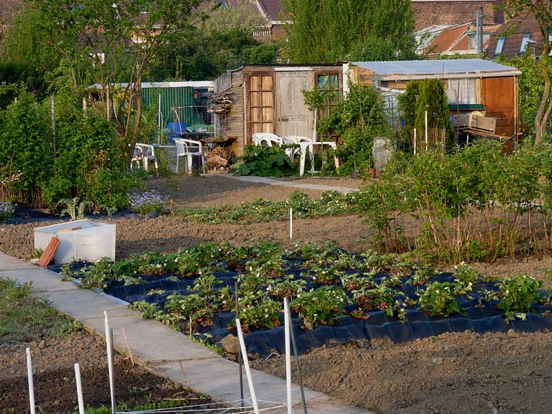 Pierre-Yves Macé / Les Cris de Paris