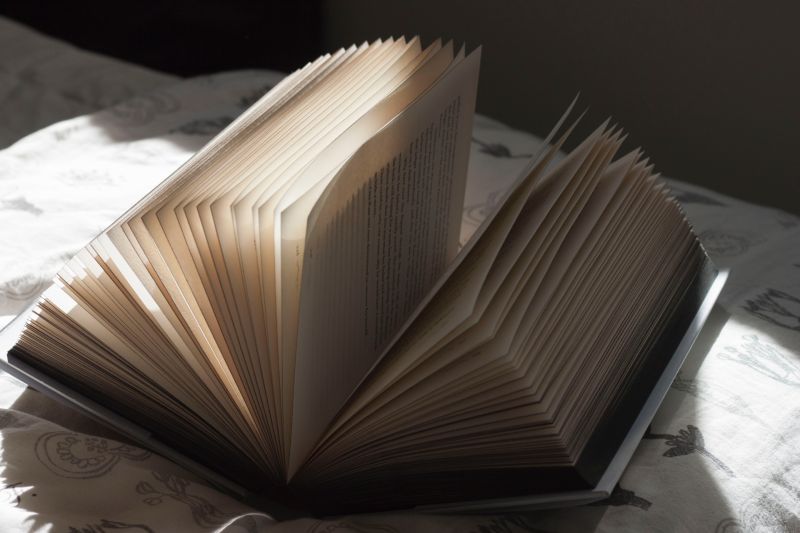 Lecture-fiction #8