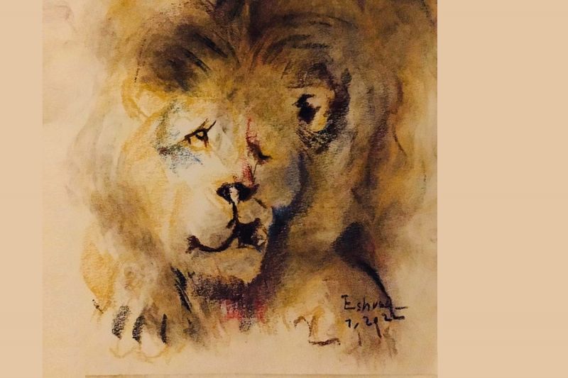 Marjan, le dernier lion d’Afghanistan